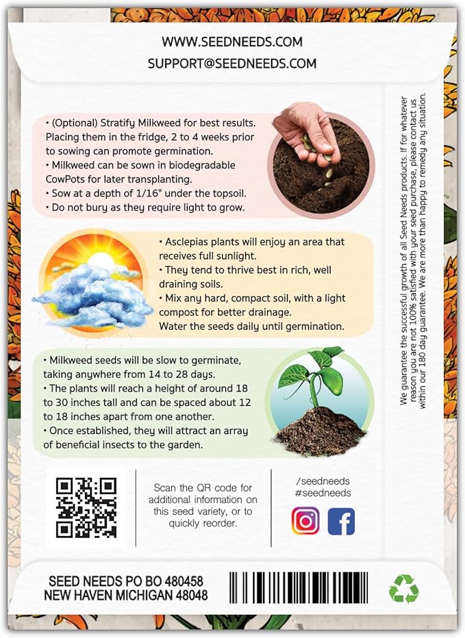 Seed Needs Orange Butterfly Milkweed Seeds for Planting - Heirloom & Untreated - Grow a Butterfly Garden to Attract Monarch Butterflies & Pollinators (2 Packs)