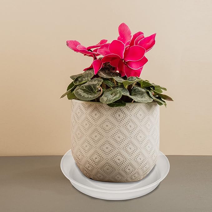 6 Pack Plastic Plant Saucer Water Drip Tray, 4 5 6 7 8 9 10 11 12 inch, Heavy Sturdy Plant Drainage Tray for Indoors Outdoor, Flower Saucers for Pots Base (4", Clear)