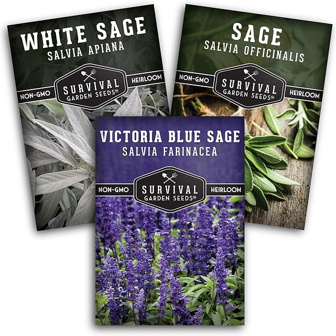 Survival Garden Seeds Sage Collection Seed Vault - White, Culinary & Victoria Blue Sage (Salvia Apiana, Officinalis, Farinacea) - Non-GMO Heirloom Seeds for Your Garden