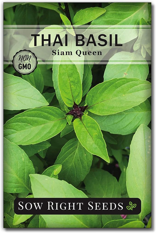Sow Right Seeds - Sweet Large Leaf Thai Basil Seed for Planting - Non-GMO Heirloom Packet with Instructions to Plant a Kitchen Herb Garden - Indoors or Outdoor - Great for Hydroponic Growing (1)