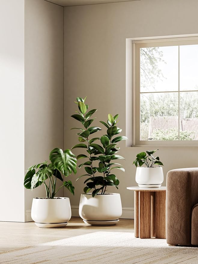 LE TAUCI Ceramic Planters, 10 Inch Pots for Plants, Indoor Plant Pots with Drainage Holes and Saucers, Modern Planters Fit Mid Century Plant Stand, Flower Pots for Indoor Plants, White