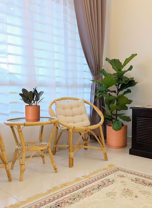 D'vine Dev Large 10 Inch Terracotta Plant Pot with Drainage Hole and Saucer, Round Cylinder Planter Pot for Indoor Plants, 40-X-A-5