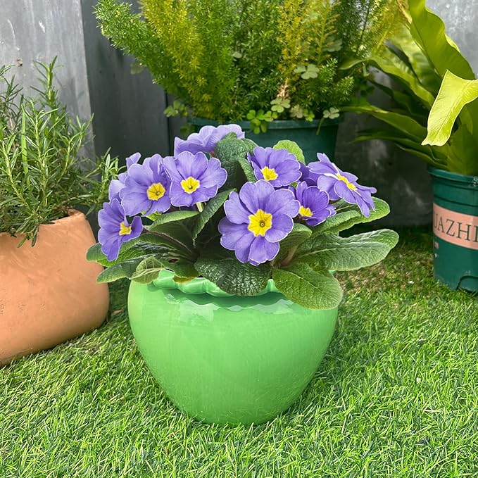 Large African Violet Pots Ceramic Planters for Indoor Plants 10.5in Self-Watering Terracotta Planter Green Dolomite Clay Morden Decor Ceramic Flower Pot for Home Office Decoration