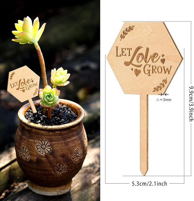 Let Love Grow Succulent Tags Wedding Favors, PARBEE 40PCS Hexagon Plant Sticks Wooden Stake Signs for Wedding Bridal Shower Baby Shower Anniversary Succulent Party Favors