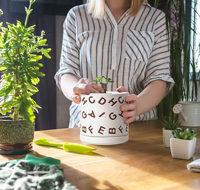 D'vine Dev Set of 2 Ceramic Planter Pots with Drainage Hole and Saucer, 4.5 Inch 6 Inch Plant Pots for Plants Indoor Houseplants, White, 99-G-1