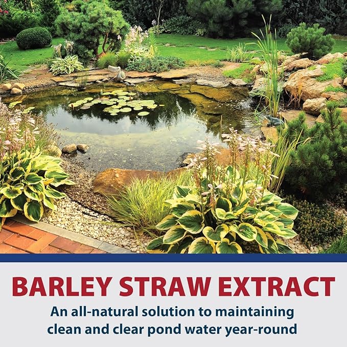 The Pond Guy Barley Extract Natural Liquid Treatment for Ponds and Water Gardens, Safe for Koi Fish and Plants, Natural Solutions for Clear Pond Water - 32 Ounces