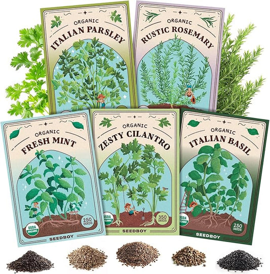 Organic 5 Herb Variety Pack: Basil, Mint, Rosemary, Parsley, Cilantro Seeds for Indoor Gardening or Planting Outdoors, Non-GMO and USDA Certified Herb Seed Packets (5 Herb Variety Pack)