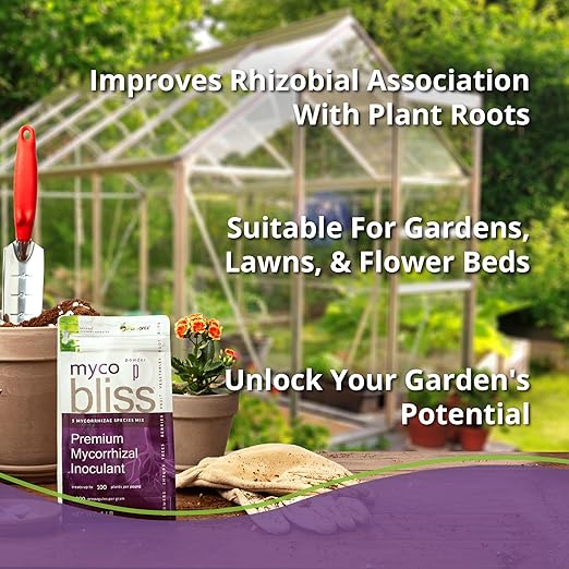 Myco Bliss Powder (200 g) - Mycorrhizal Fungi for Soil - 5 Strain Mycorrhizal Inoculant with 1000 Propagules Per Gram - Highly Concentrated Mycorrhizae for Plants, Potting Soil, & Garden Soil