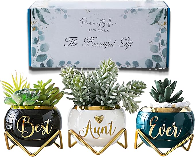 Aunt Gifts, Gifts for Aunt from Niece & Nephew, Best Aunt Ever Gifts, Birthday Gifts for Aunt, Auntie Gifts from Niece Nephew, Great Aunt Gifts, Gardening Gifts for Aunt Unique, 3 Succulent Pots Only