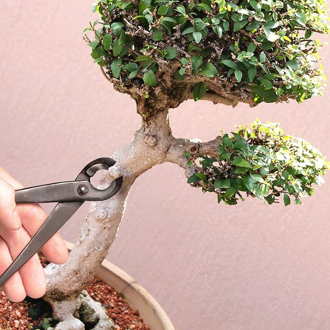 BambooMN Bonsai 8" Concave Cutter Tool - 30 Pieces