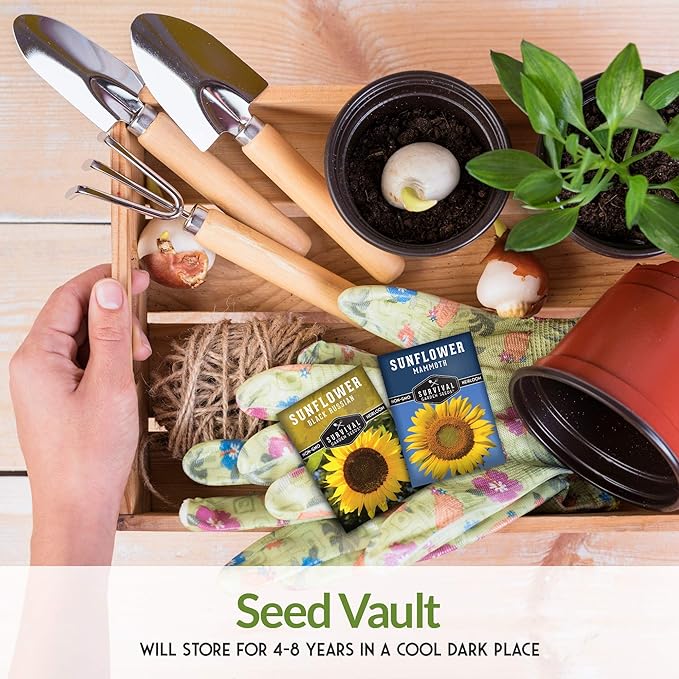 Survival Garden Seeds Edible Sunflower Seeds Vault – Gigantic Flowers with Delicious Seeds - Oil-Rich Mammoth & Black Russian Sunflower Seeds - Non-GMO Heirloom for Planting & Growing