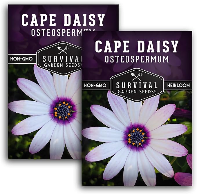 2 Packs Cape Daisy Seed for Planting - Packet with Instructions to Grow Beautiful White & Purple Osteospermum in Your Home Flower Garden - Non-GMO Heirloom Variety - Survival Garden Seeds