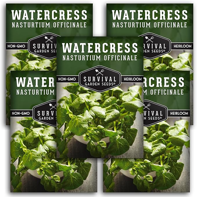 5 Packs Watercress Seed for Planting - Packet with Instructions to Grow Nasturtium officinale in Your Home Vegetable Garden - Non-GMO Heirloom Variety - Survival Garden Seeds