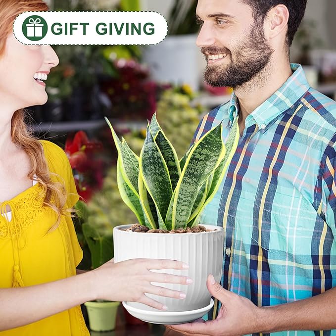 6.7 + 5.5 Inch Plant Pot, Ceramic Planter with Drainage and Saucer, Ceramic Pots for Plants, Indoor Plant pots,Ceramic Flower pots（Pure White, Plants NOT Included）