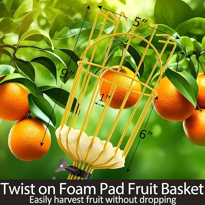 Fruit Picker Pole with Basket Telescopic Pole, 10ft Extendable Fruit Catcher Picking Pole Garden Tools for Picking Fruit from High Apple Cherry Orange Mango Fig Lemon Avocado Fruit Trees