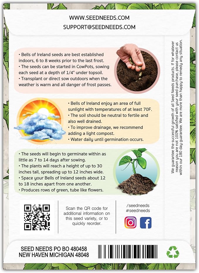 Seed Needs, Bells of Ireland Seeds - 400 Heirloom Seeds for Planting Molucella laevis - Green Bell Shaped Flowers, Perfect as a Cut Flower, Attracts Pollinators (1 Pack)