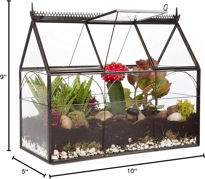 D'Eco Glass Greenhouse Plant Terrarium (10x4.5x9) - Indoor Tabletop Black Hinged Geometric Planter - Succulents, Air Plants, Moss, Fern - Home Garden Office Decor - Gift for Plant Lovers
