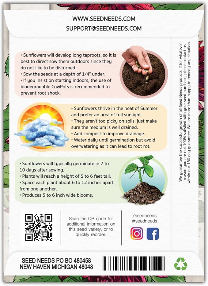 Seed Needs, Red Sun Sunflower Seeds - 120 Heirloom Seeds for Planting Helianthus annuus - Great Cut Flowers, Attracts Butterflies/Pollinators (1 Pack)