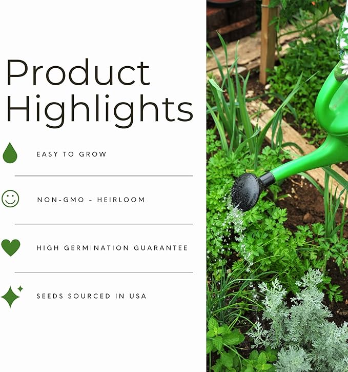 Scarlet Nantes Carrot Seeds for Planting, Over 2,800 Seeds for Growing Indoors or Outdoors – Non-GMO, Heirloom – Woods Creek Seeds