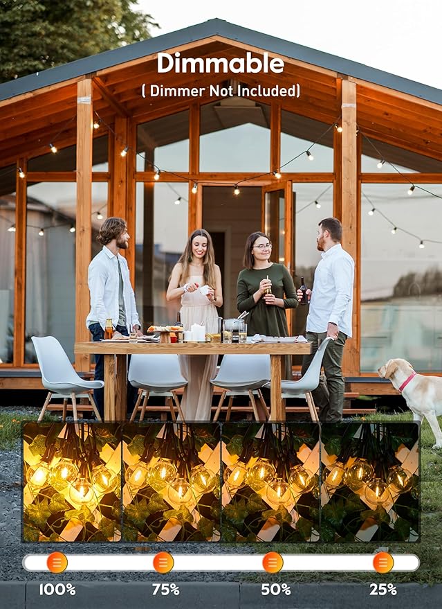 Brightown G40 Replacement LED Light Bulbs, 25 Pack Clear Globe Bulb fits E12 C7 Candelabra Screw Base Sockets, 1.5 Inch Dimmable Edison Light Bulbs for Indoor Outdoor Patio Decor, Warm White