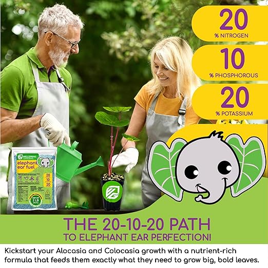 Wellspring Gardens Elephant Ear Fuel Fertilizer - Water-Soluble Fertilizer - 20-10-20 Blend - Elephant Ear Food - Plant Food - Elephant Ear Plant Fertilizer - Premium Blend for Plants (2 Pounds)