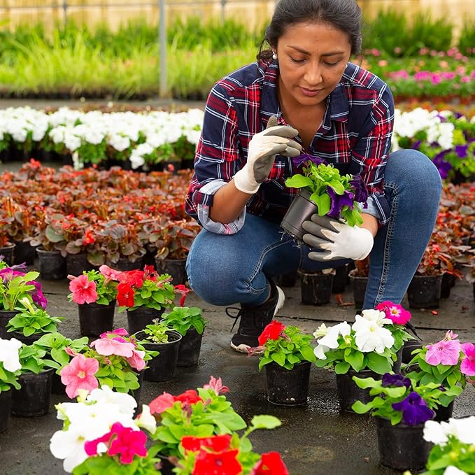 Whonline 40pcs Plastic Nursery Pots Variety Pack, 3/4/5/6 Inch Black Round Seedling Pots with Drainage Holes, Plastic Starter Pots for Planting Seeds, Flower, Succulent, Indoor Plants