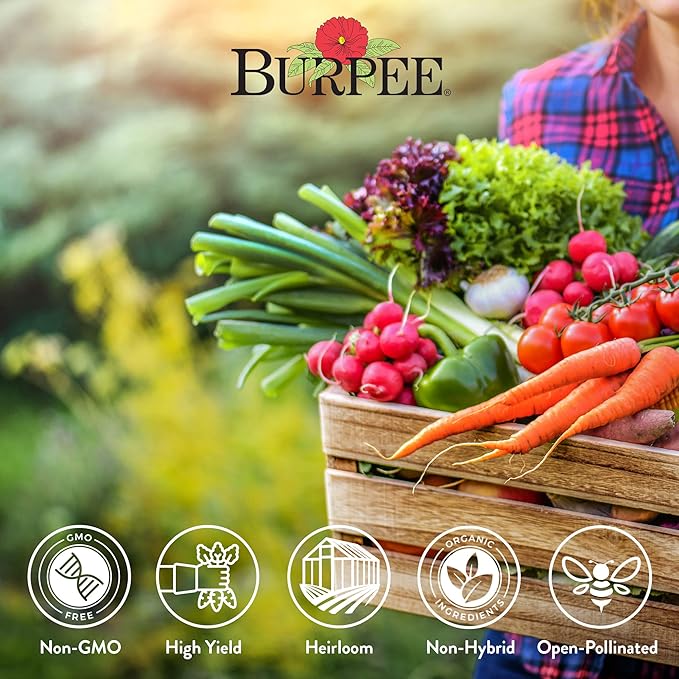 Burpee Heirloom Vegetable Seeds, Variety Pack with 35 Varieties of Plant Seeds, 30,000+ Garden Seeds - Mixed Non-GMO Seeds with Select Varieties of Lettuce, Beans, Tomatoes, Peppers, Squash and More