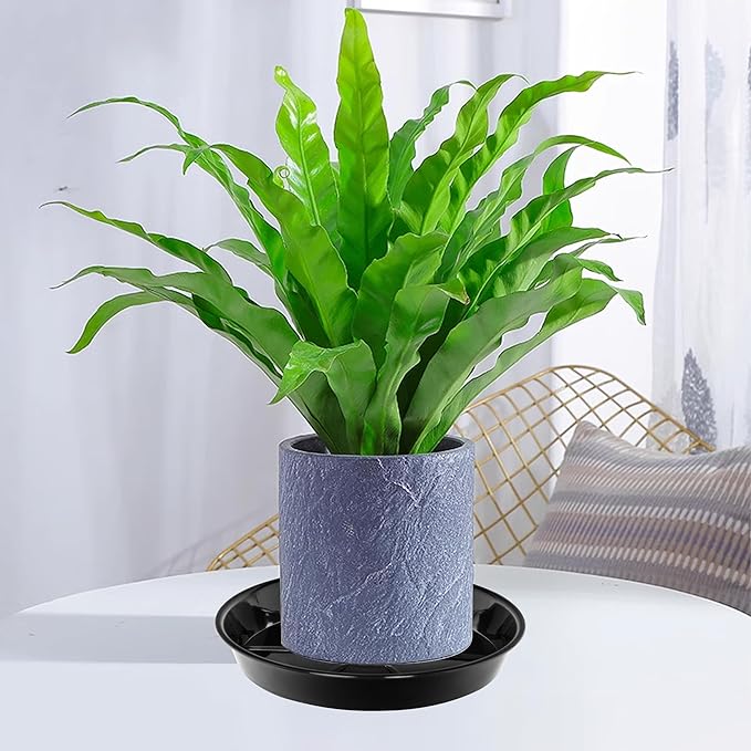 6 Pack Plant Saucer Drip Tray 14 inch, Large Plastic Plant Trays, Heavy Sturdy Plastic Planter Flower Pot Saucers for Indoor Outdoor Garden, Plant Water Drip Trays for pots (14", Black)