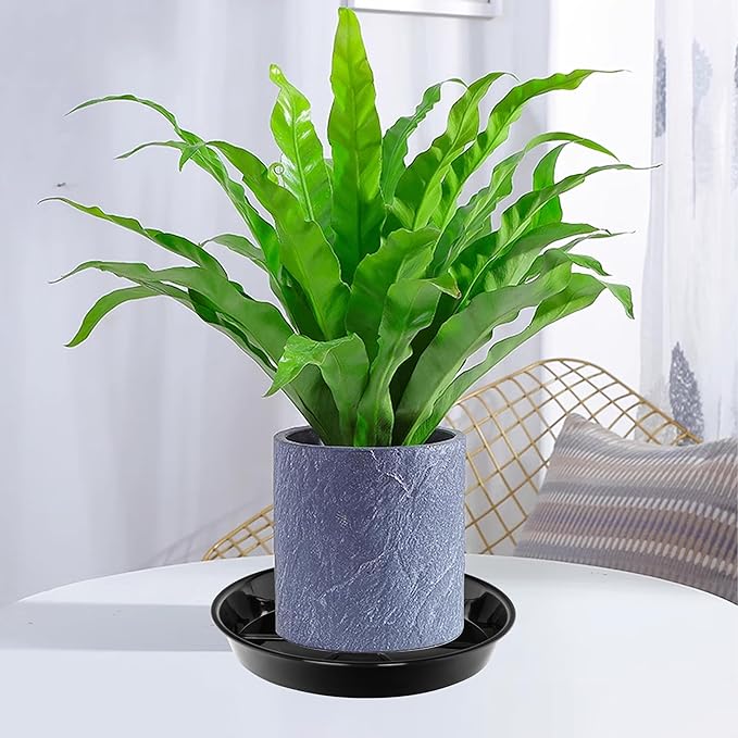 2 Pack Plant Saucer Drip Tray 19 inch, Large Heavy Sturdy Plastic Planter Flower Pot Saucers for Indoor Outdoor Garden, Plant Water Drip Trays for pots (19" 2Pack, Black)