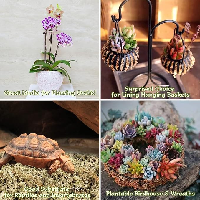 Halatool Sphagnum Moss, 3OZ(4QT) Natural Sphagnum Moss for Plants, Premium Long Fiber Dried Sphagnum Peat Orchid Moss for Repotting Carnivorous Succulents Garden Flowers Terrarium and Reptiles