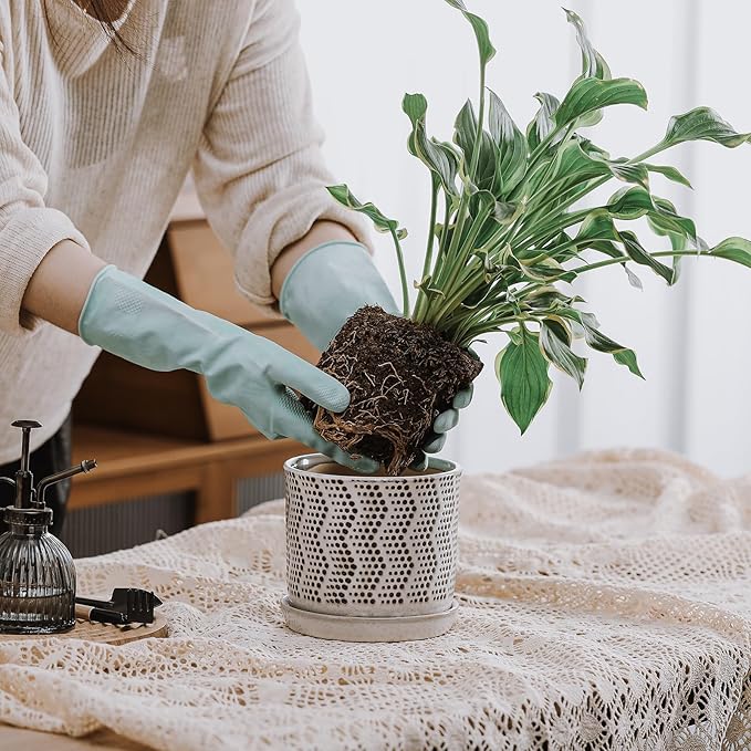 6 Inch Plant Pot: Ceramic Planter with Drainage Hole & Saucer for Indoor Outdoor Plants - Flowerpot with Bonded Tray for Home Office -Mixed Spots Debossed