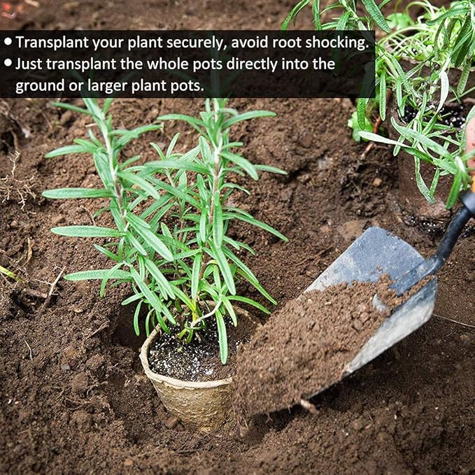 GROWNEER 120 Packs 3 Inch Peat Pots Plant Starters for Seedling with 15 Pcs Plant Labels, Biodegradable Herb Seed Starter Pots Kits, Garden Germination Nursery Pot