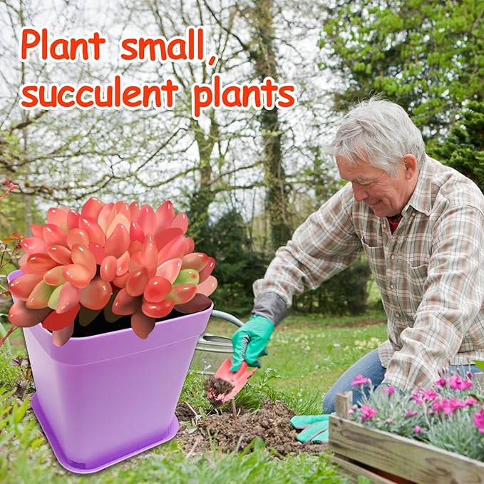 56PCS 3inch Plastic Nursery Pots,Square Plants Seedling Pots,Multicolor Small Transplanting Flower Pots for Indoor Outdoor,Succulents,Office Home Garden and Balcony Decor(8 Colors)
