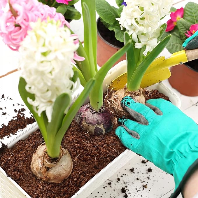 ZeeDix 200pcs(40mm) Coco Coir Pellets Potting Soil Indoor Plants, Compressed Coconut Coir Soil Pellets Seed Starting Pellets Soil Discs for Planting Flowers Bonsai Herbs Plants and Vegetables