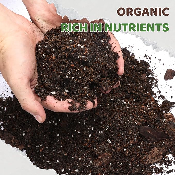 Premium Snake Plant Soil Mix 4qt, Indoor Plants Potting Mix for All Potted Snake Plants, Promote Healthy Growth and Easy Care