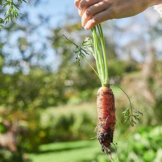 Earthborn Elements Ammonium Sulfate (1 Gallon), Soil Additive, Source of Nitrogen