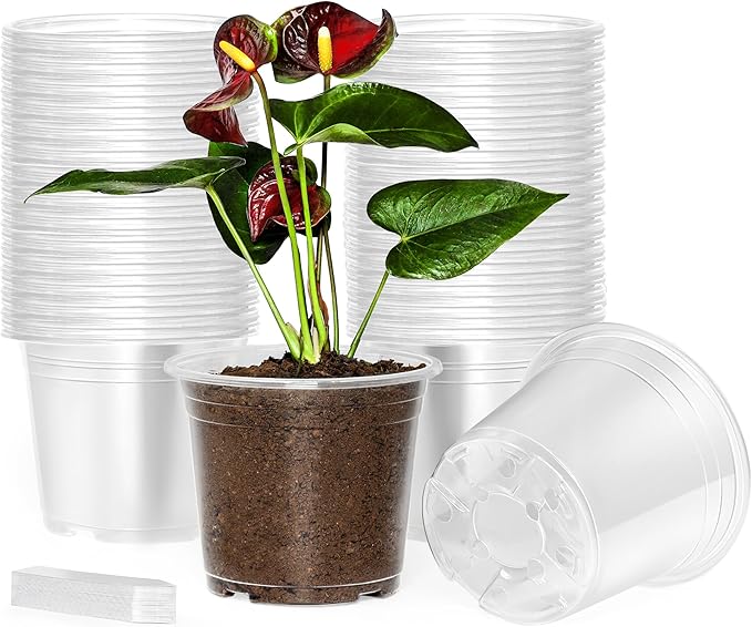 60 Pack 6 Inch Clear Nursery Pots with Drainage Holes, Transparent Plastic Pots for Plants, Reinforced Seed Starter Pots Garden Pots Flower Pots Come with 50pcs Plant Labels