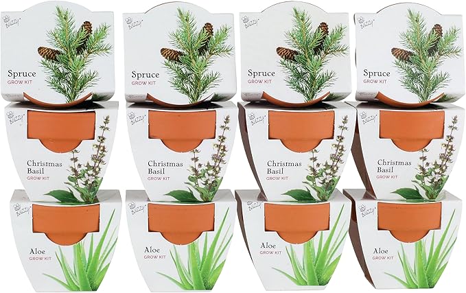 BUZZY Seeds Terracotta Mini Grow Pots | Herb, Plant, Flower Starter Kit for Kids & Adults | Assorted 12-Pack, Radiant Collection | Guaranteed to Grow | Best Indoor Grow Your Own Plant Gardening Gift