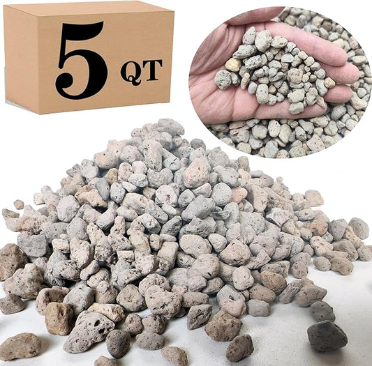 Garden Pumice Rock Horticultural Cactus Bonsai Succulent Soil Additive for Plants, Landscaping, Vase Fillers (3/8 inch, 5 QT)