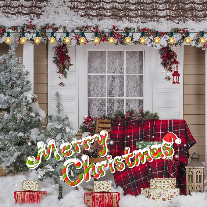 25Ft G40 Outdoor String Lights, Golbe Patio Light with 27 G40 Clear Incandescent Bulbs(2 spare), Hanging Waterproof Connectable Christmas String Lights for Indoor Outdoor Garden Camping Backyard Porch