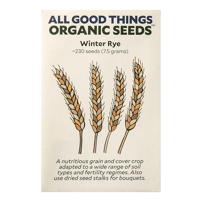 All Good Things Organic Winter Rye Seeds - Pack of 230, Heirloom Seeds for Planting Grains, Vegetables - Gardening Supplies, Grain, Vegetable Garden - Non-GMO, Open Pollinated, from USA