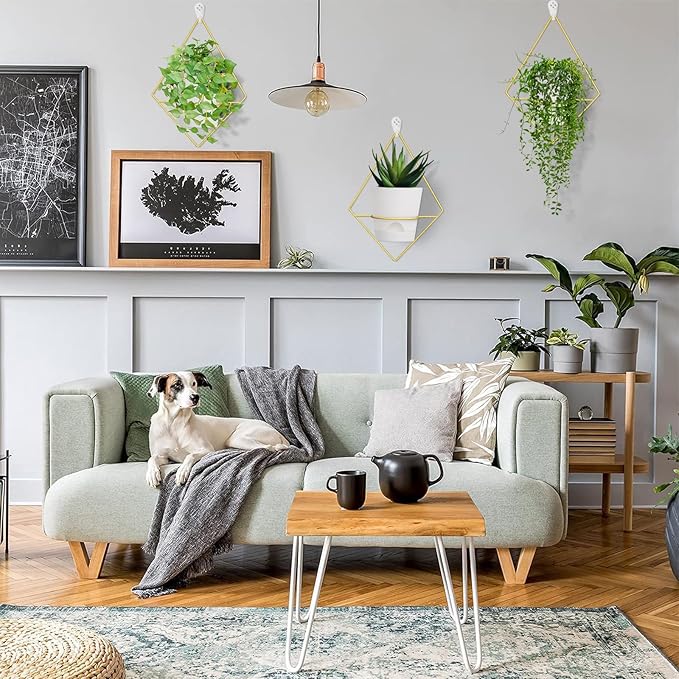 3 Sets of Wall Planters for Indoor Plants, Hanging Wall Planter with Gold Metal Holder, Geometric Self Watering Wall Flower Pots, Wall Mounted Succulent Planter, 5" White Plant Pot