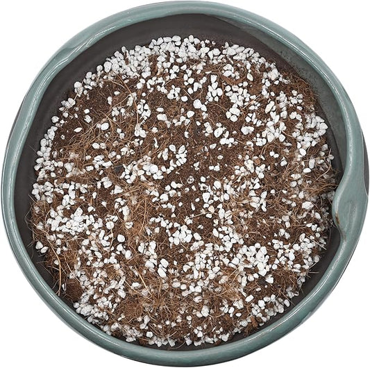 10QT Organic Coco Coir Perlite Mix, Coco Coir Mix for Plants, Coco Perlite Mix 70/30 for Gardening, for Plants Indoor, for Houseplants, to Promote Root Growth, and Water Retention and Plant Growth