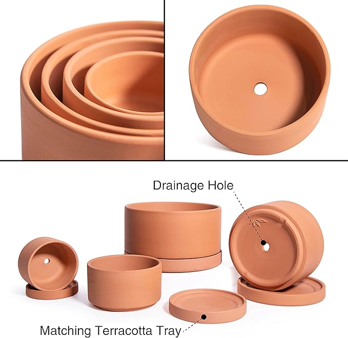 D'vine Dev Set of 4 Terracotta Shallow Planter Pots for Succulent, 3 Inch 4 Inch 5 Inch 6 Inch, Small Flower Plant Pots with Drainage and Saucer, 40-Z-0