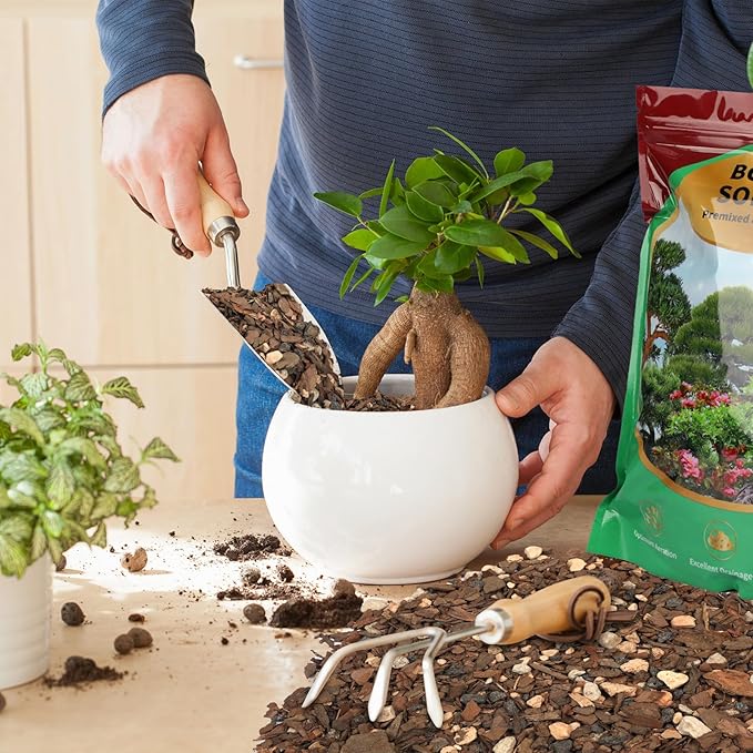 Bonsai Soil Mix 1qt, Potting Soil Mix Ready to Use for Bonsai Tree and Indoor Plants, Composed of Akadama, Lava Rock, Prumice, Bark