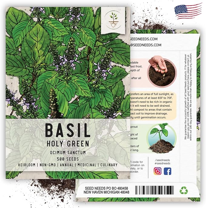 Seed Needs, Holy Basil Seeds - 500 Heirloom Seeds for Planting Ocimum Sanctum - Medicinal Tulsi Herb to Plant Indoors or Outdoors, Non-GMO & Untreated (2 Packs)