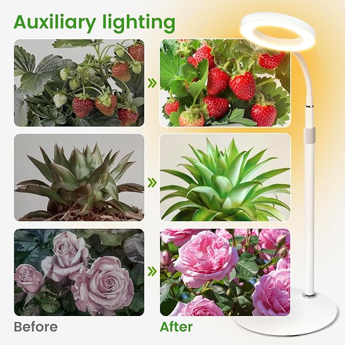 Grow Lights for Indoor Plants, Red Blue Yellow Full Spectrum Desktop Small LED Halo Plant Growing Lamps with Stand,Automatic Timer,24.2 inch Height Adjustable,10 Dimmable Levels,3 Lighting Modes,Mini