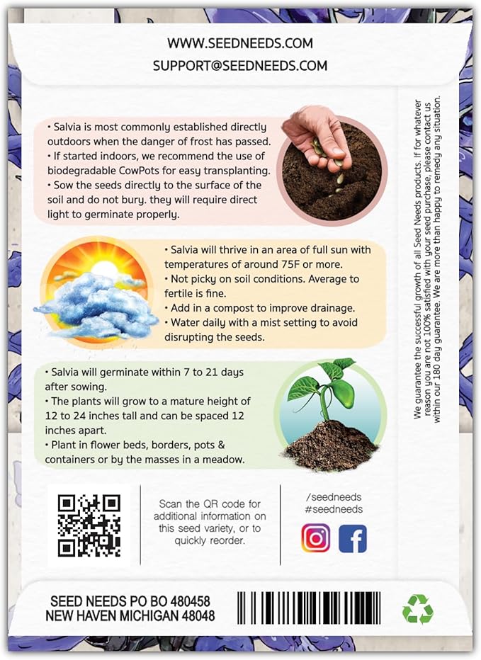 Seed Needs Sapphire Blue Sage Seeds for Planting - Heirloom & Open Pollinated Salvia - Grow a Butterfly Garden with Perennial Flowering Plants (2 Packs)