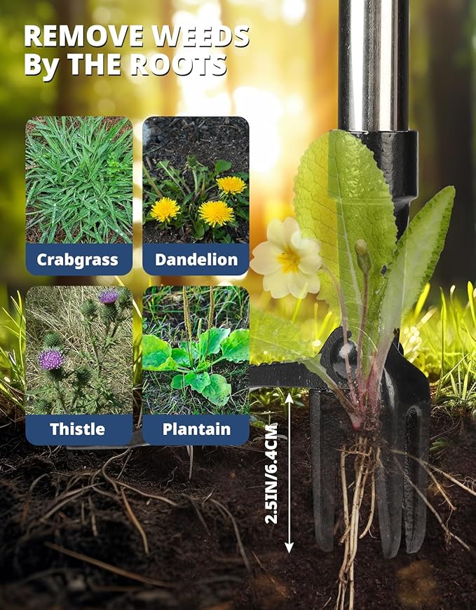 DEERFAMY Stand Up Weed Puller Tool with Long Handle, Manual Weeder with 3-Section Bamboo Construction & 4-Claw Steel Head Design, Gardening Hand Tool for Easy Weed Removal