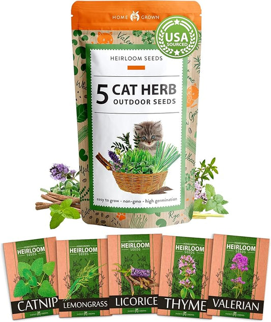 HOME GROWN 2100+ Cat Grass Seeds - Catnip Seeds, Lemongrass, Licorice, Thyme Seeds, Valerian - Grow Cat Grass for Indoor Cats - Cat Grass Seeds Bulk - Refill Cat Growing Grass Kit